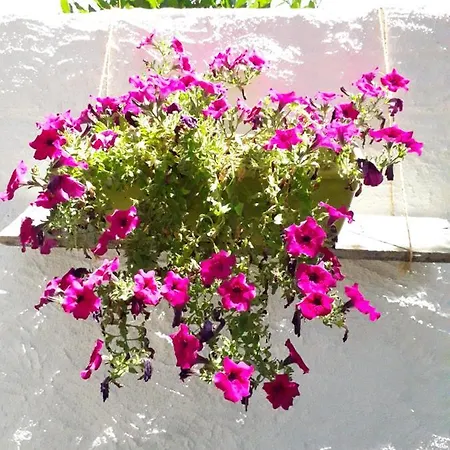 I Limoni Bed and breakfast 3*